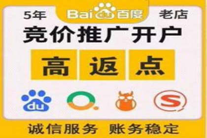 突破关键词竞价排名困境的案例解析